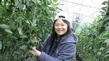 �����[�ݩ�j��