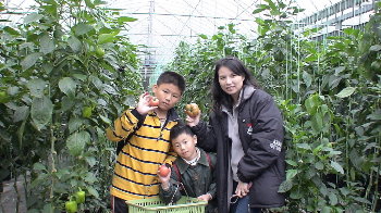 �����[�ݩ�j��