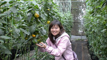 �����[�ݩ�j��