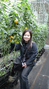 �����[�ݩ�j��