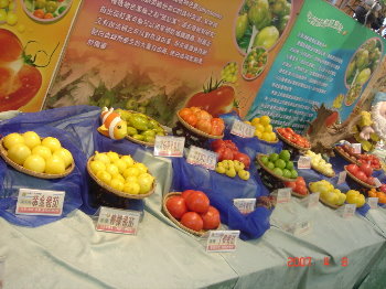 �����[�ݩ�j��