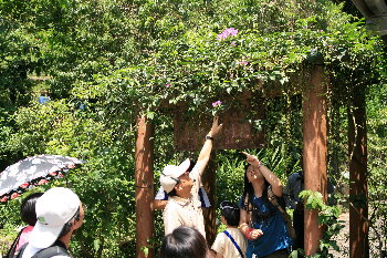 �����[�ݩ�j��