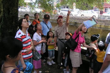 �����[�ݩ�j��