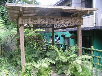 �����[�ݩ�j��