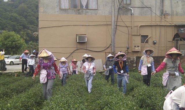 imag0793.jpg