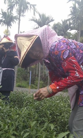 imag0796.jpg