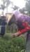 imag0796_small.jpg