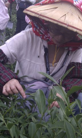 imag0798.jpg