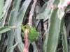 img_7378_small.jpg