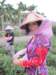 img_7457_small.jpg
