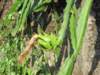 img_7761_small.jpg